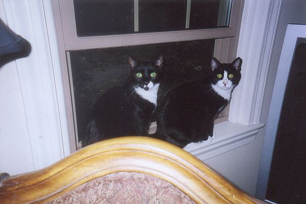 Amos-and-Andy